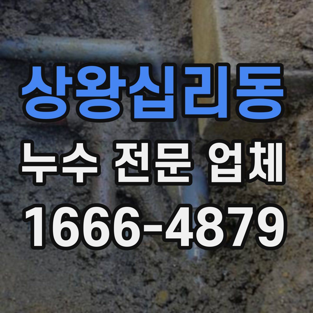 상왕십리동 누수 전문 업체