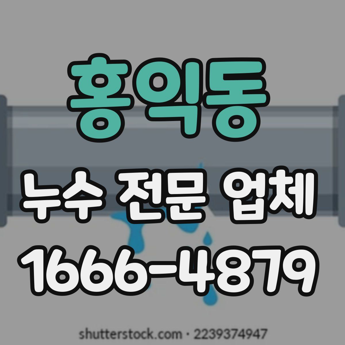 홍익동 누수 전문 업체