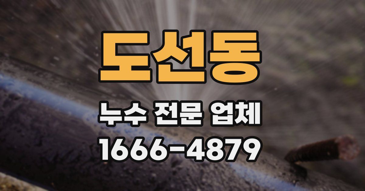 도선동 누수 전문 업체