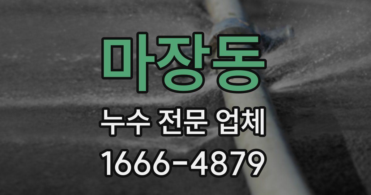마장동 누수 전문 업체