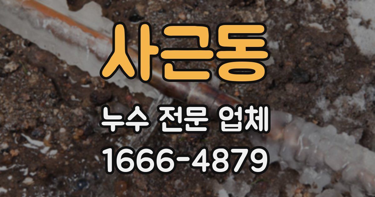 사근동 누수 전문 업체