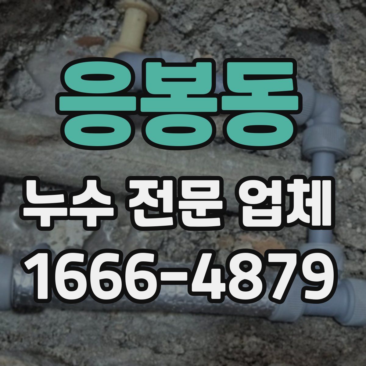 응봉동 누수 전문 업체