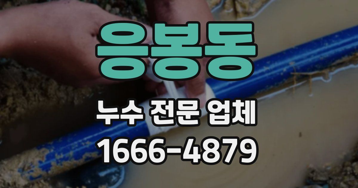 응봉동 누수 전문 업체