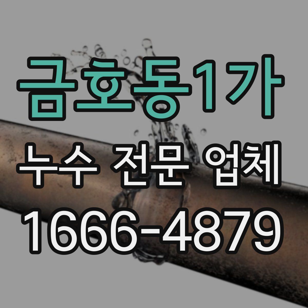 금호동1가 누수 전문 업체