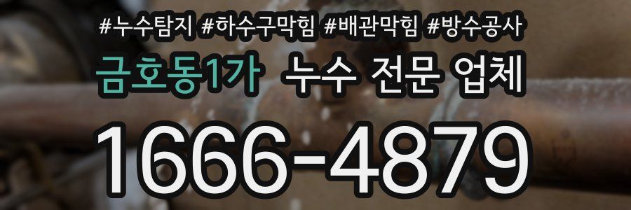 금호동1가 누수 전문 업체