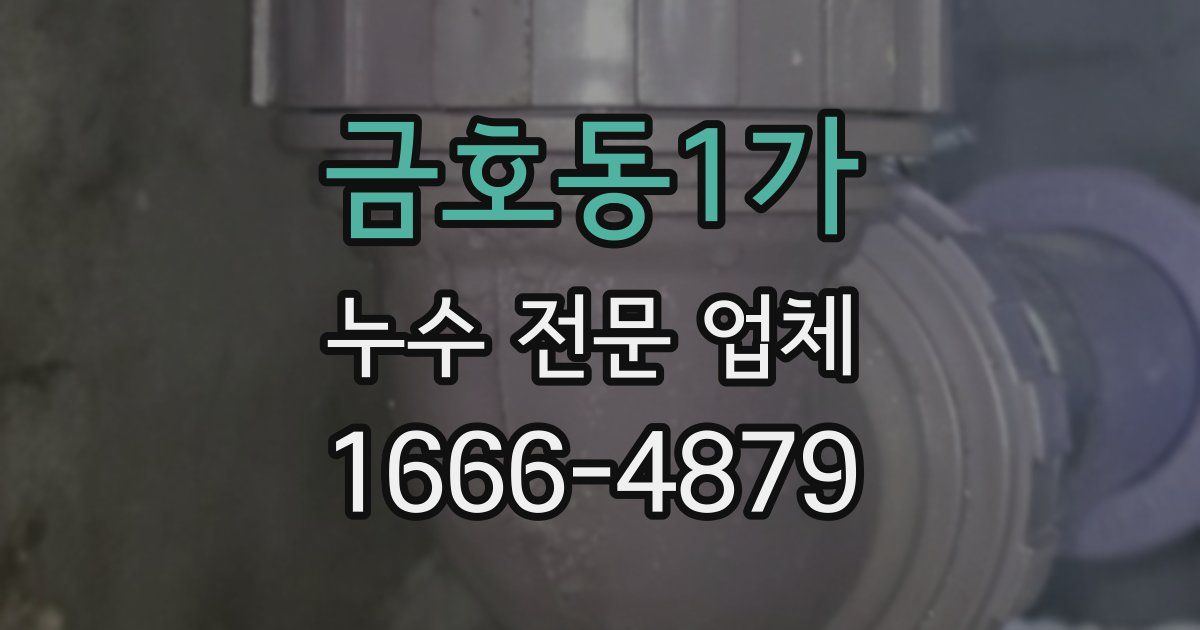 금호동1가 누수 전문 업체