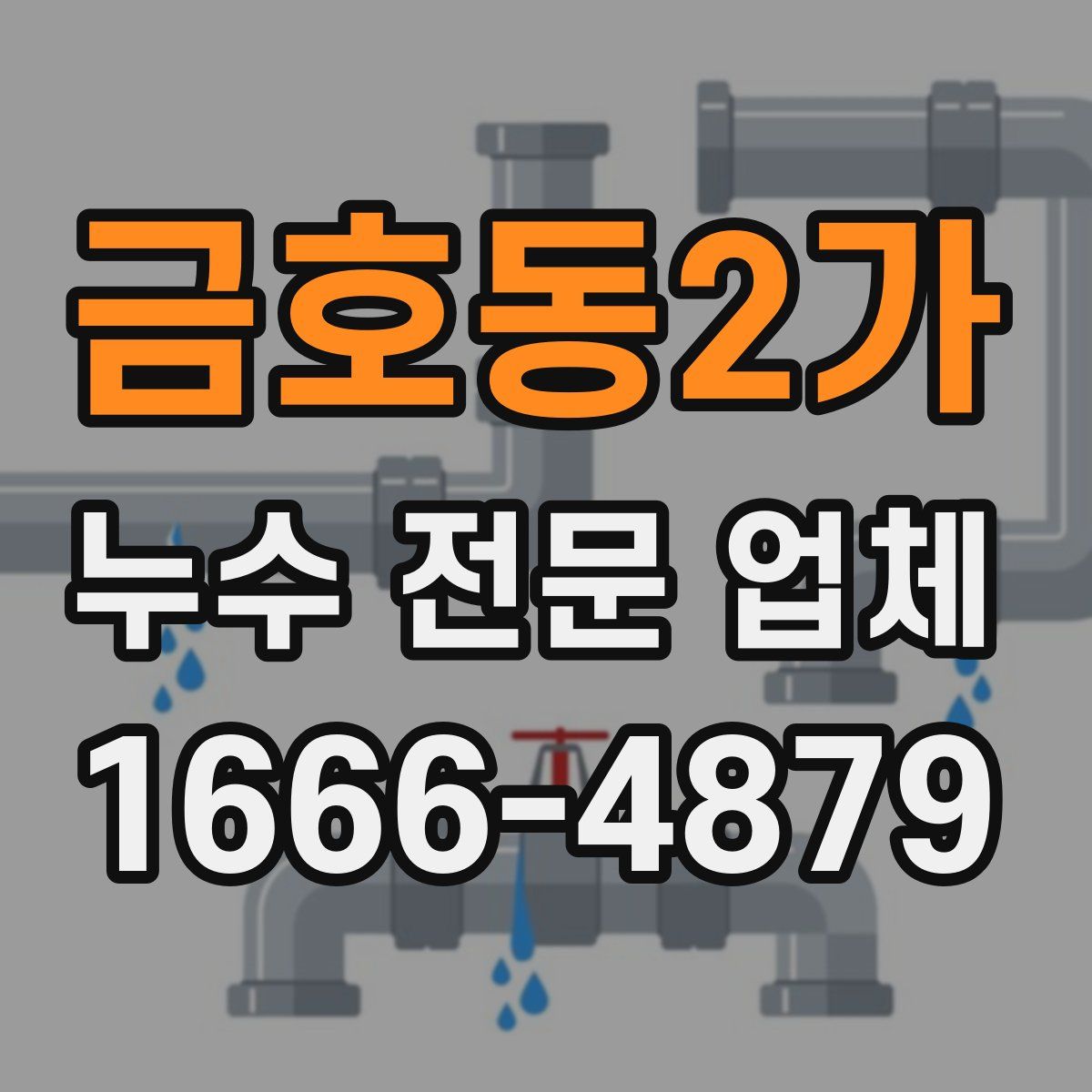 금호동2가 누수 전문 업체