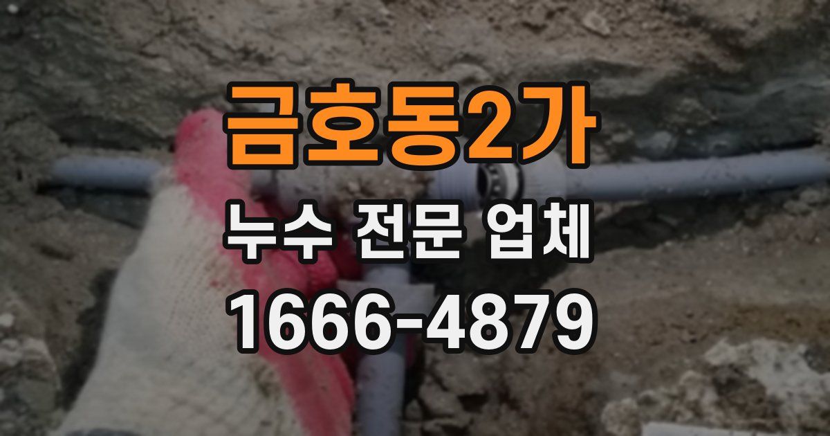 금호동2가 누수 전문 업체