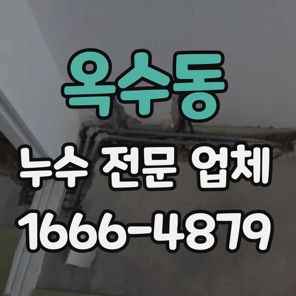 옥수동 누수 전문 업체