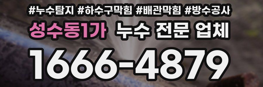 성수동1가 누수 전문 업체