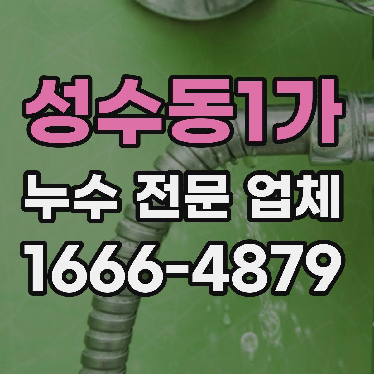 성수동1가 누수 전문 업체