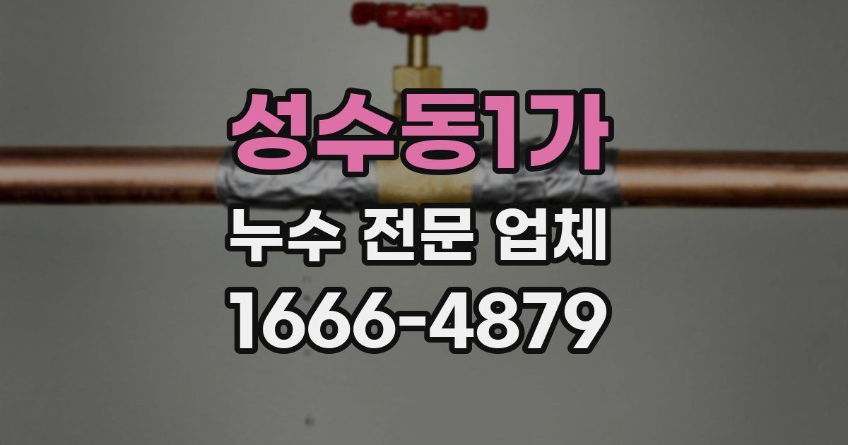 성수동1가 누수 전문 업체