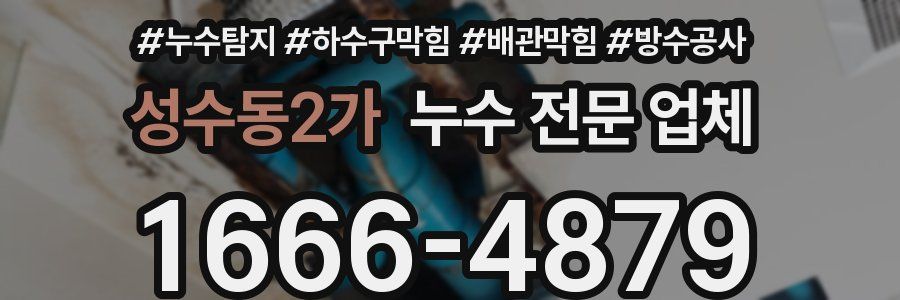 성수동2가 누수 전문 업체