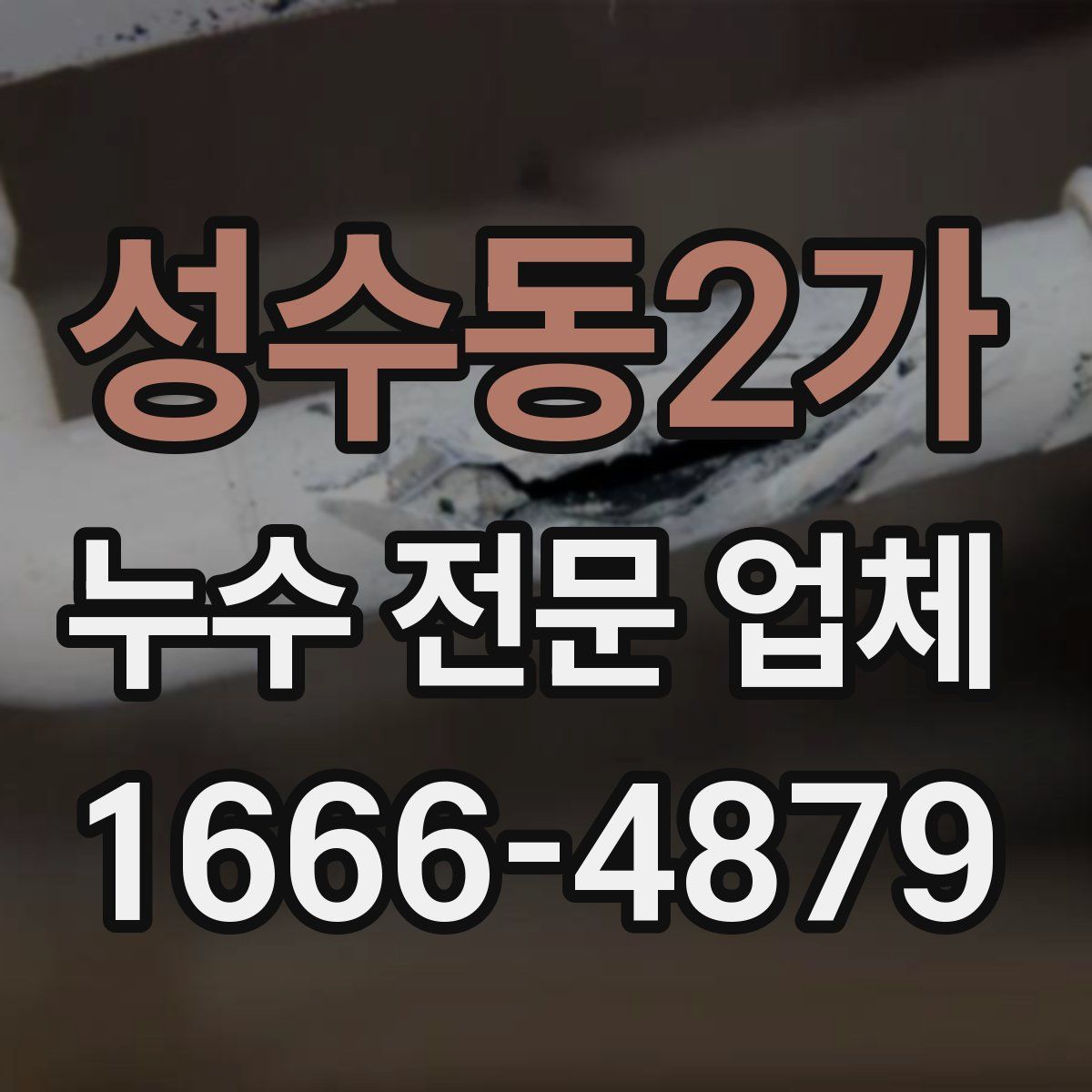 성수동2가 누수 전문 업체