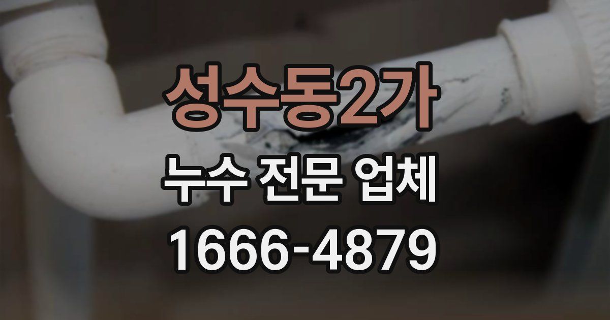 성수동2가 누수 전문 업체