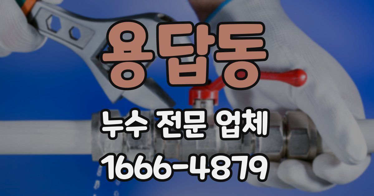 용답동 누수 전문 업체