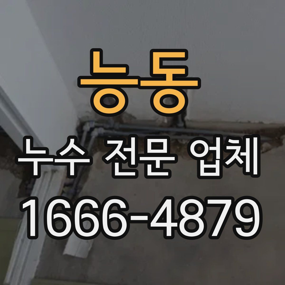능동 누수 전문 업체