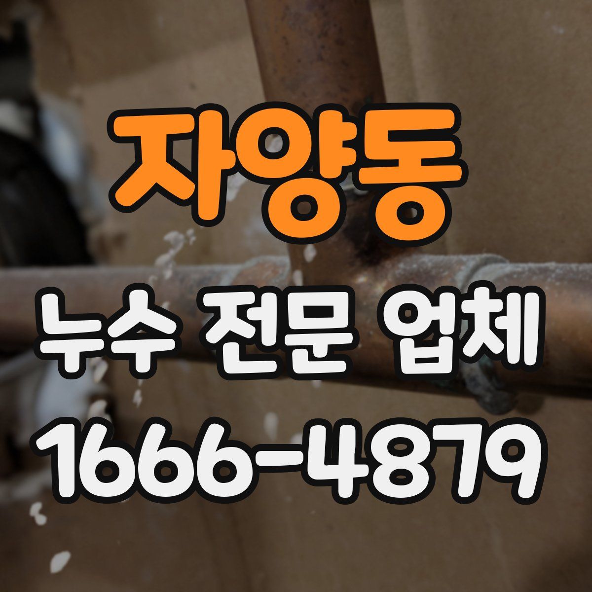 자양동 누수 전문 업체