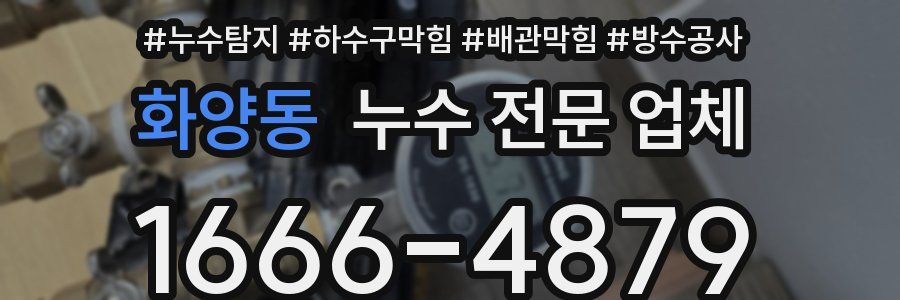 화양동 누수 전문 업체