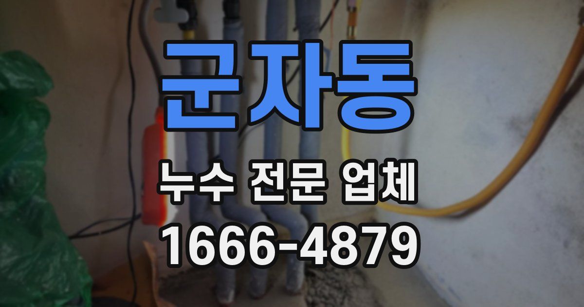 군자동 누수 전문 업체