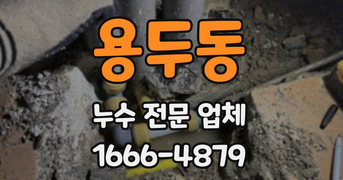 용두동 누수 전문 업체
