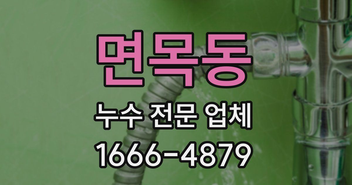 면목동 누수 전문 업체
