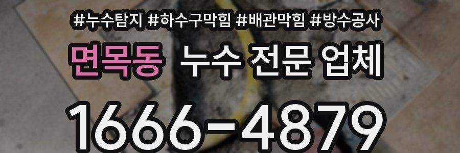 면목동 누수 전문 업체