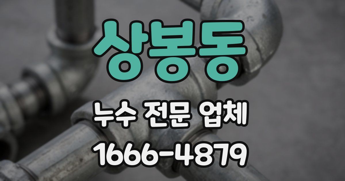 상봉동 누수 전문 업체