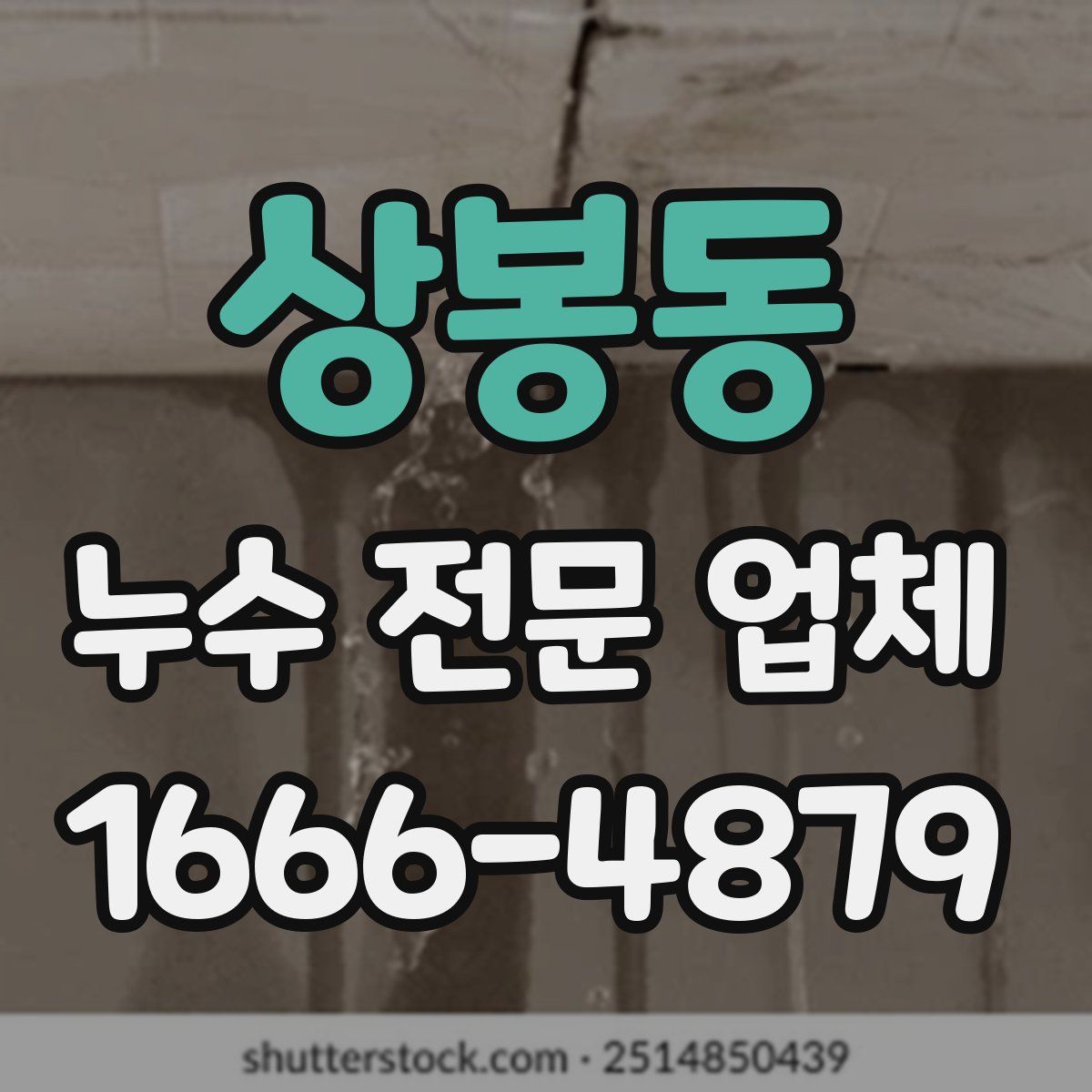 상봉동 누수 전문 업체
