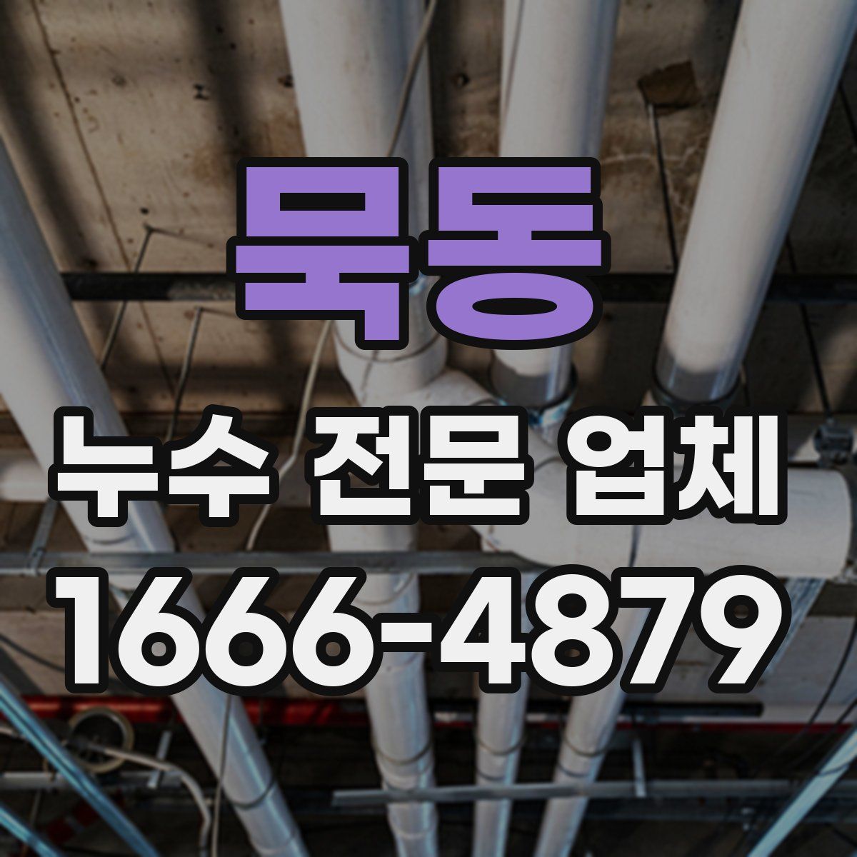 묵동 누수 전문 업체