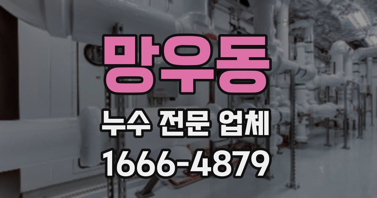 망우동 누수 전문 업체