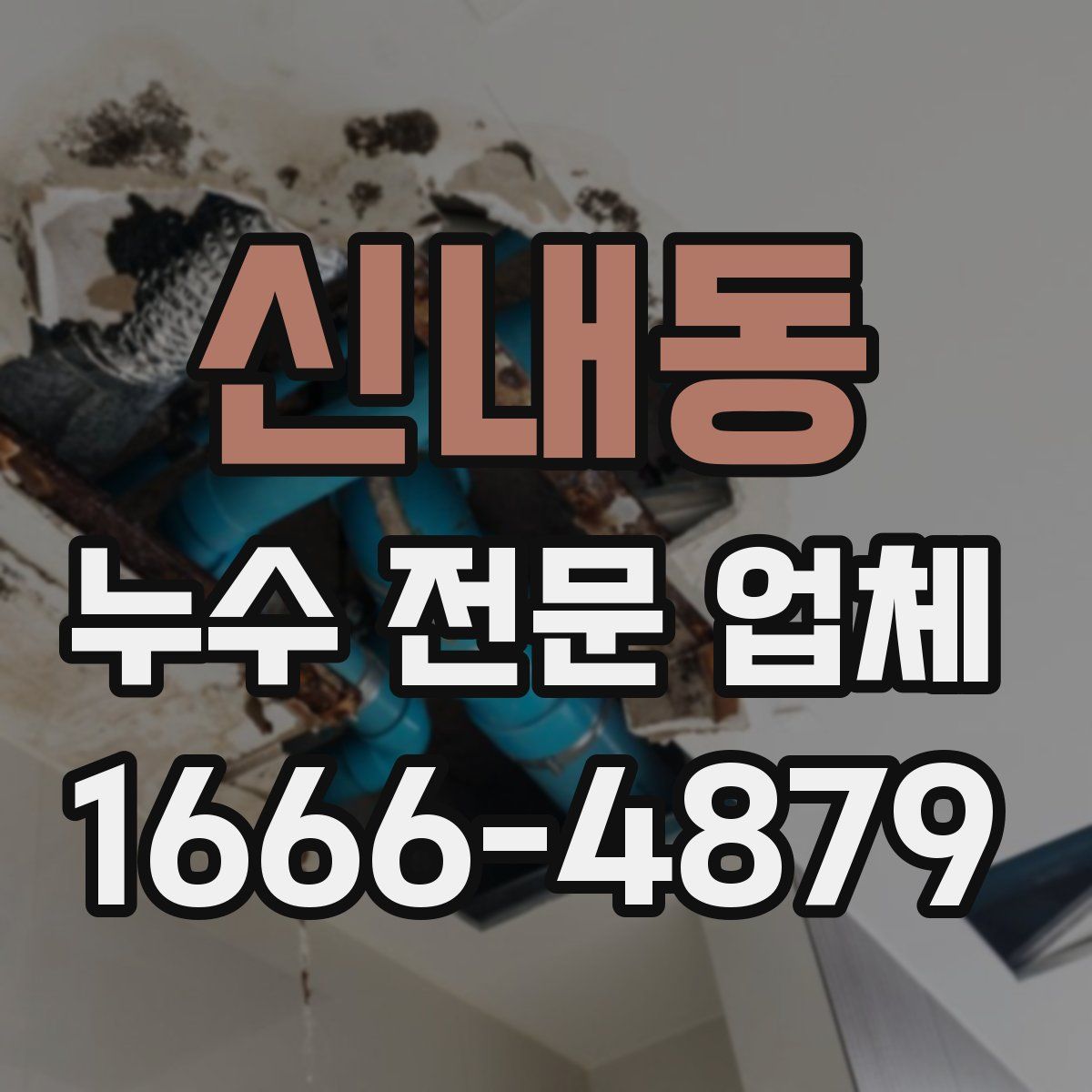 신내동 누수 전문 업체