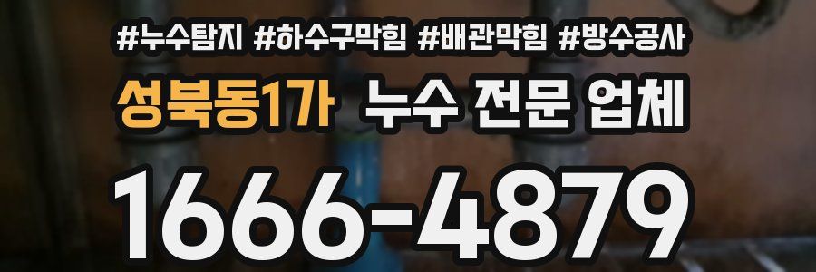 성북동1가 누수 전문 업체