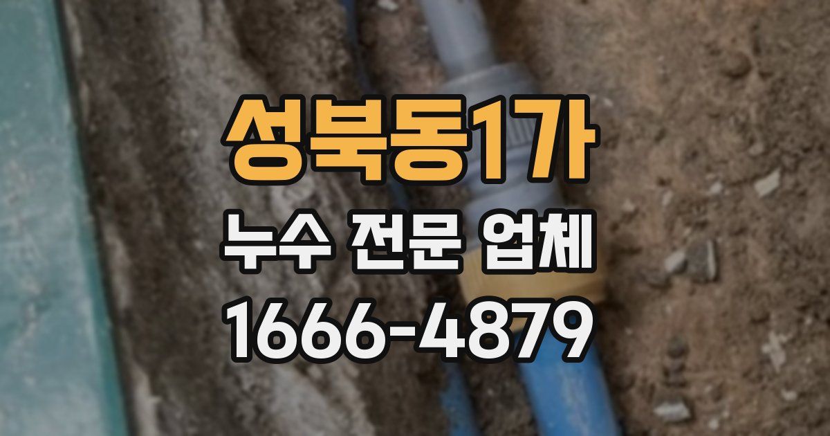 성북동1가 누수 전문 업체