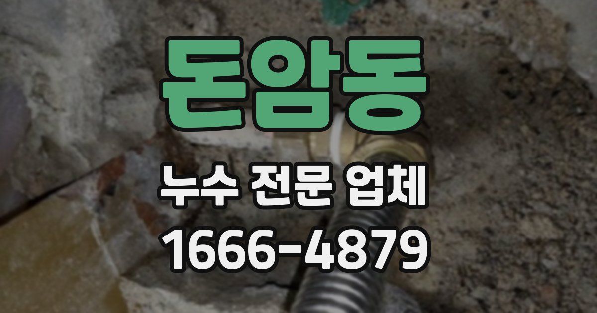 돈암동 누수 전문 업체