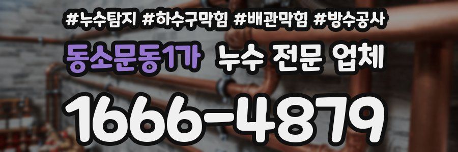 동소문동1가 누수 전문 업체