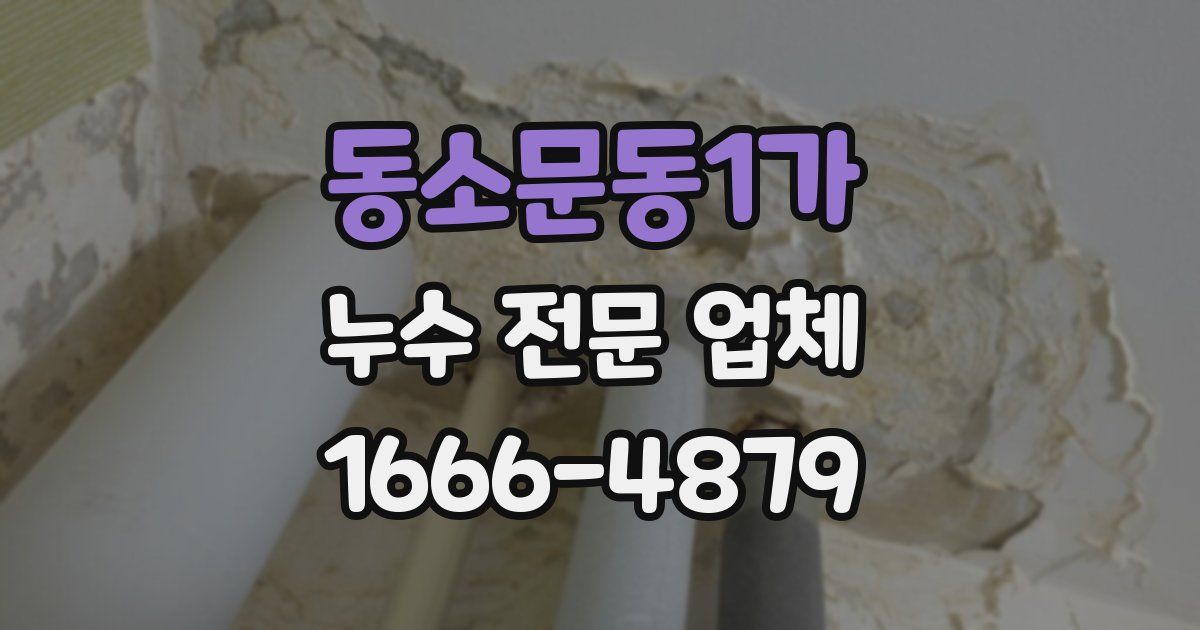 동소문동1가 누수 전문 업체