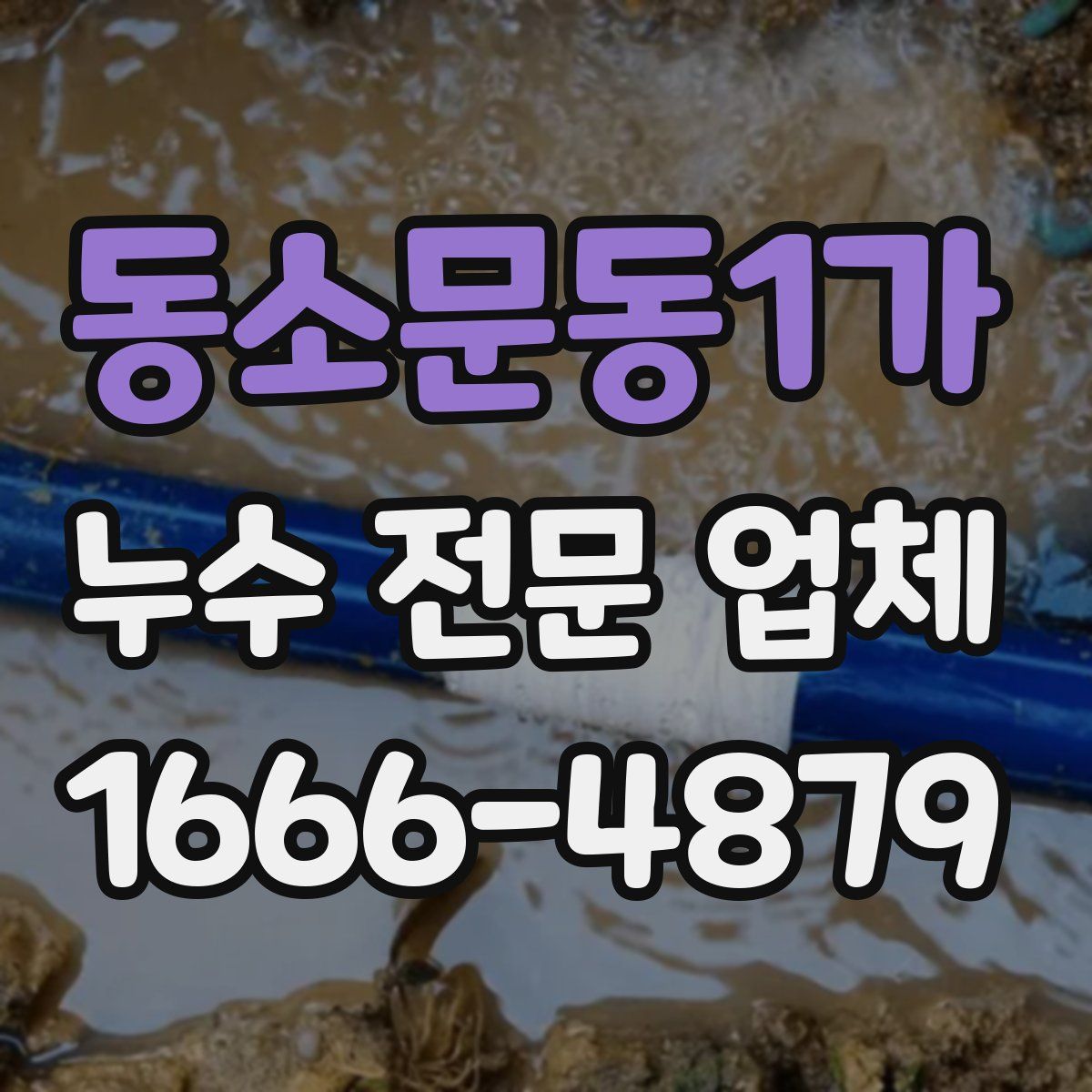 동소문동1가 누수 전문 업체