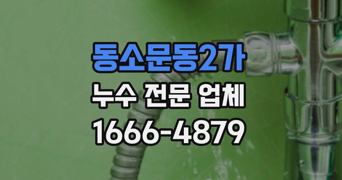 동소문동2가 누수 전문 업체