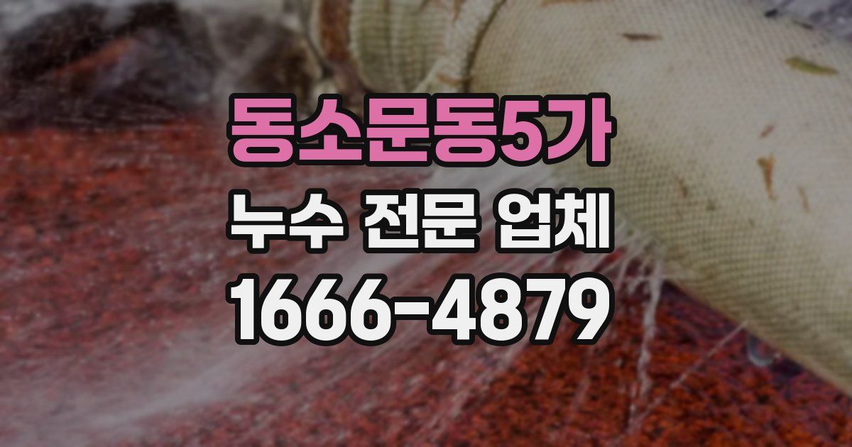동소문동5가 누수 전문 업체