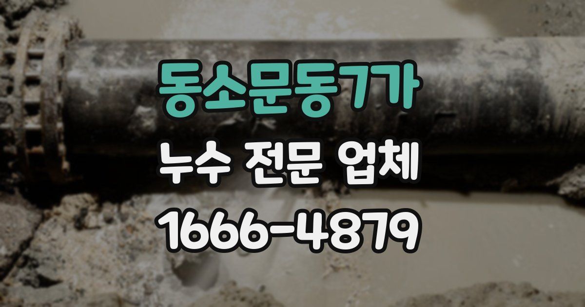 동소문동7가 누수 전문 업체