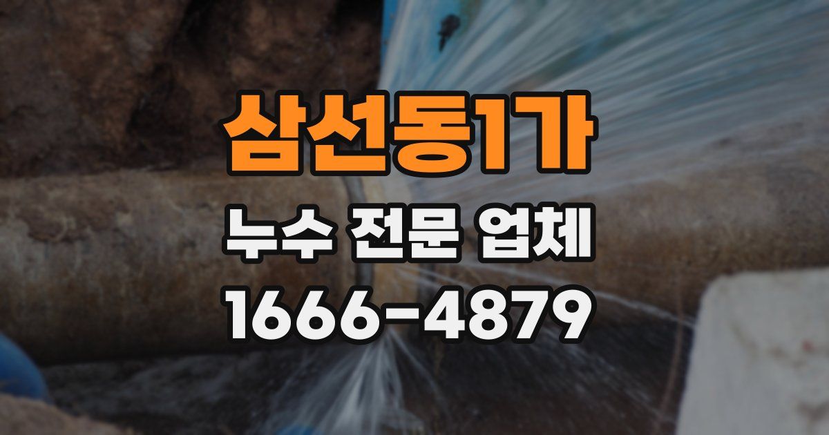 삼선동1가 누수 전문 업체