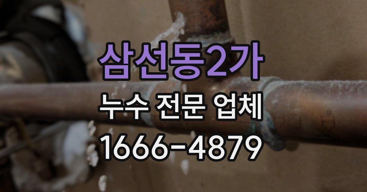 삼선동2가 누수 전문 업체