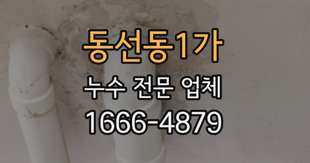동선동1가 누수 전문 업체