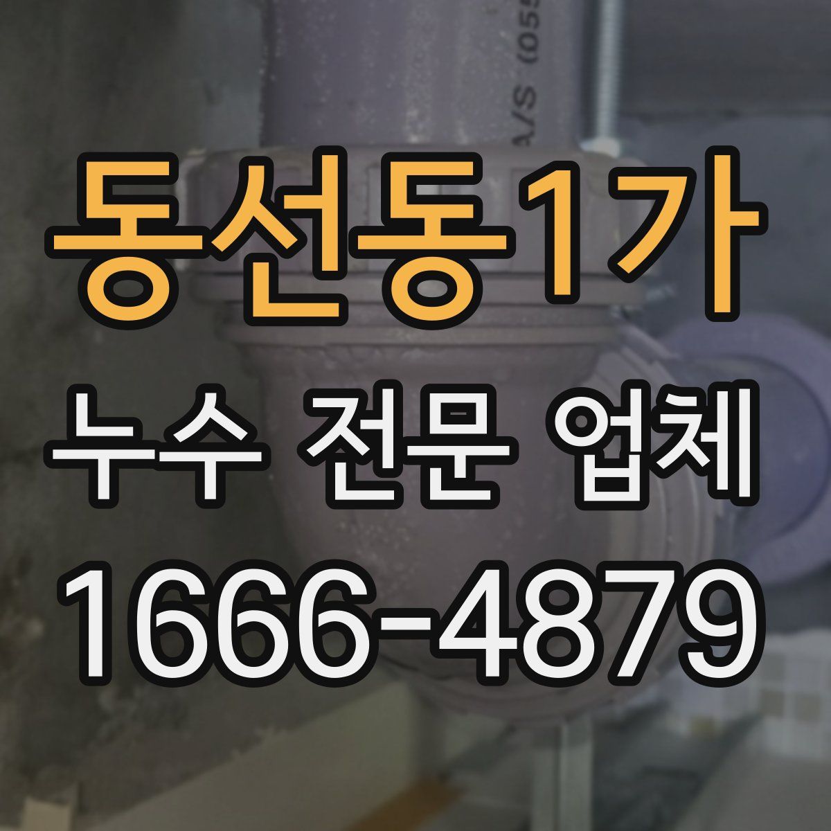 동선동1가 누수 전문 업체