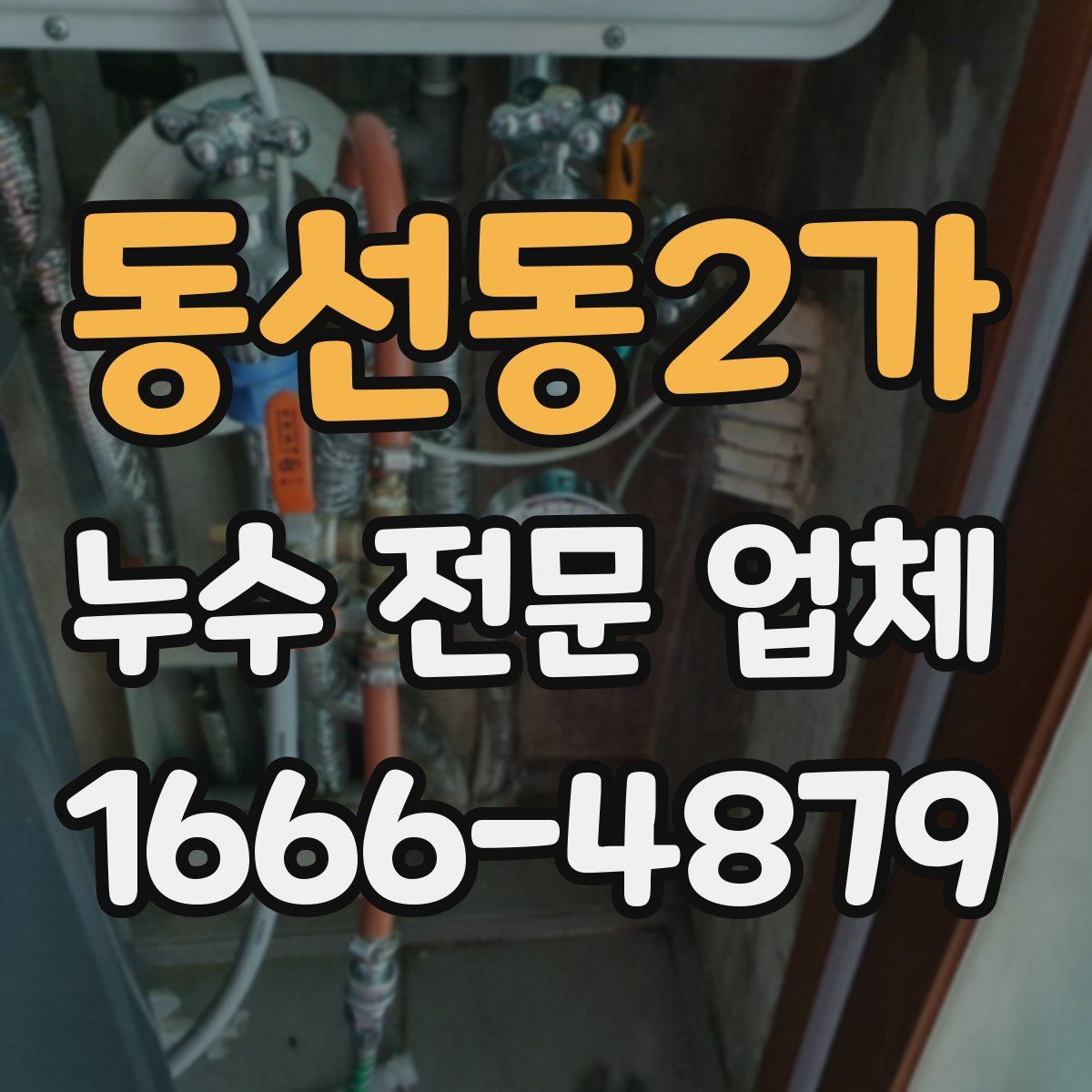 동선동2가 누수 전문 업체