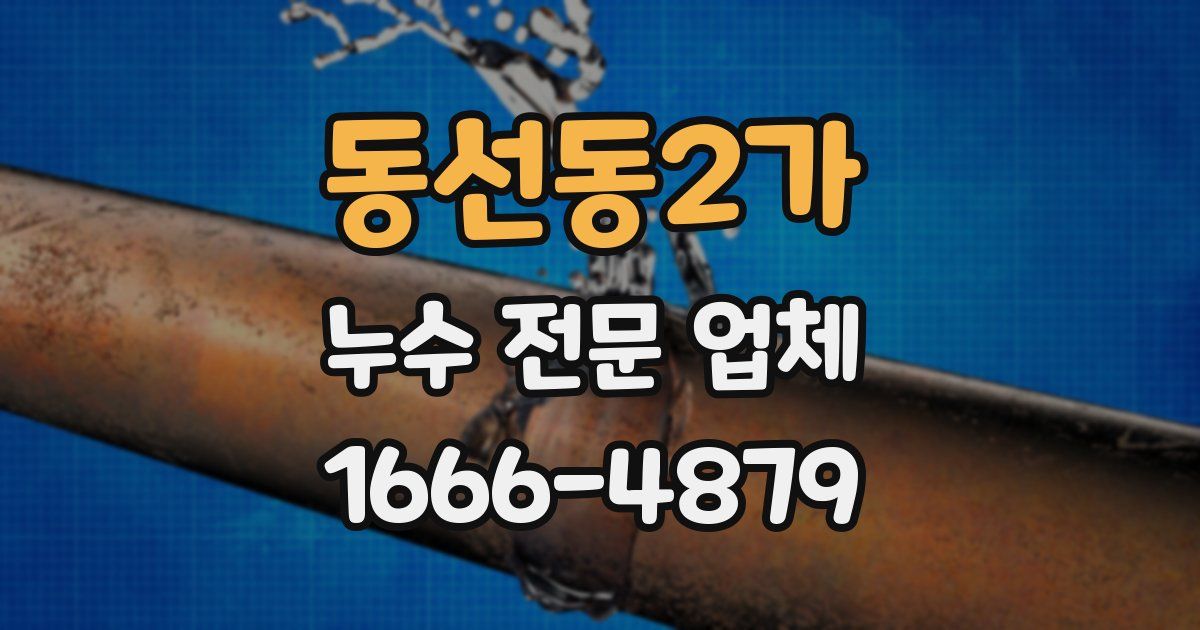 동선동2가 누수 전문 업체