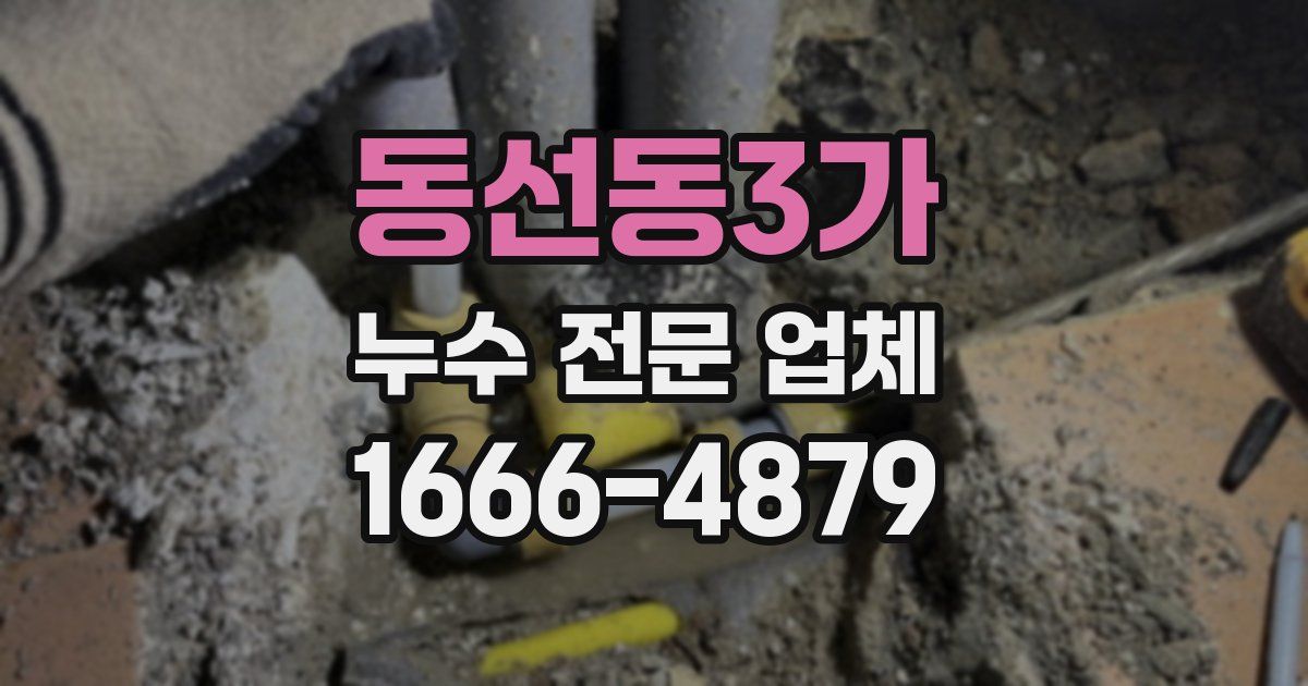 동선동3가 누수 전문 업체