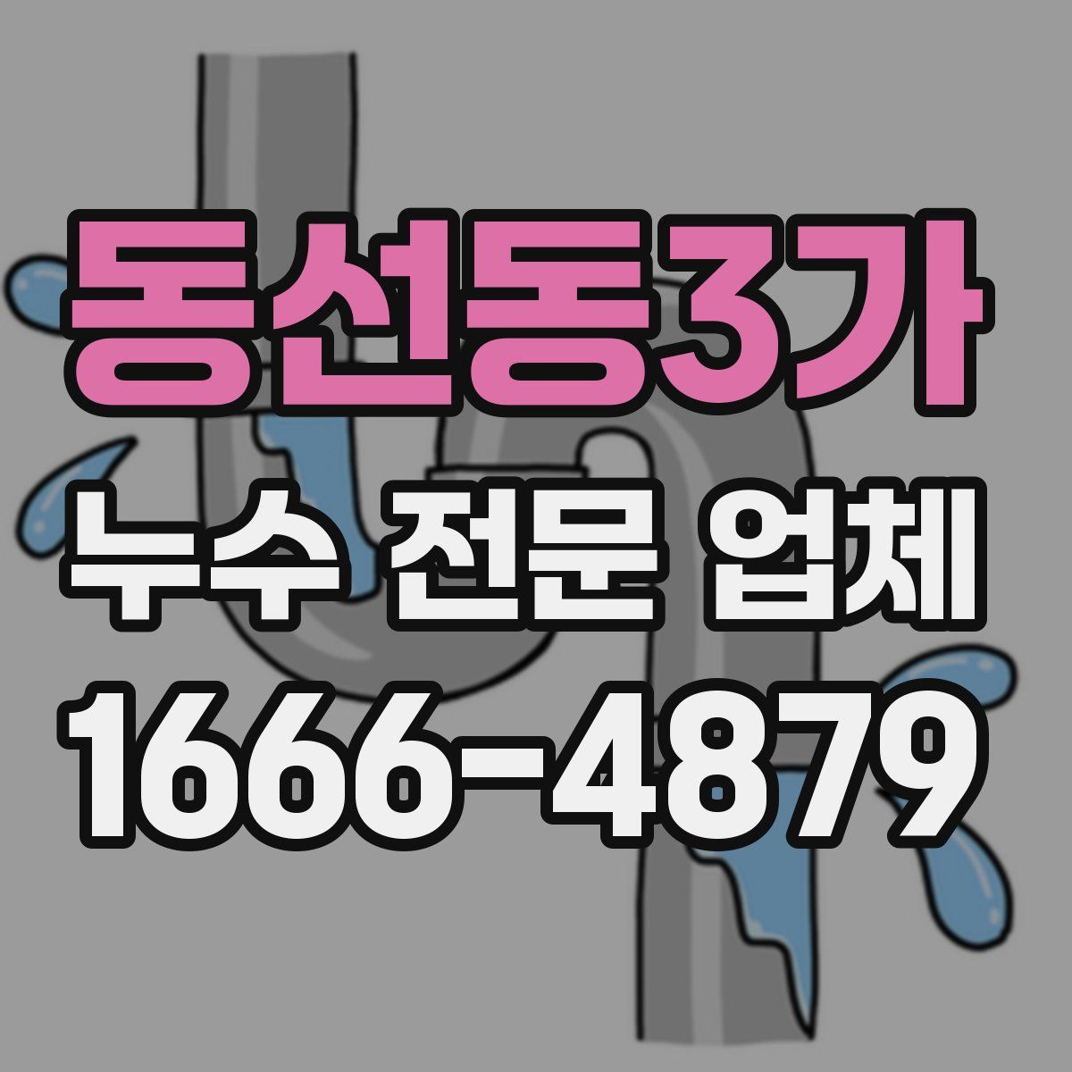 동선동3가 누수 전문 업체