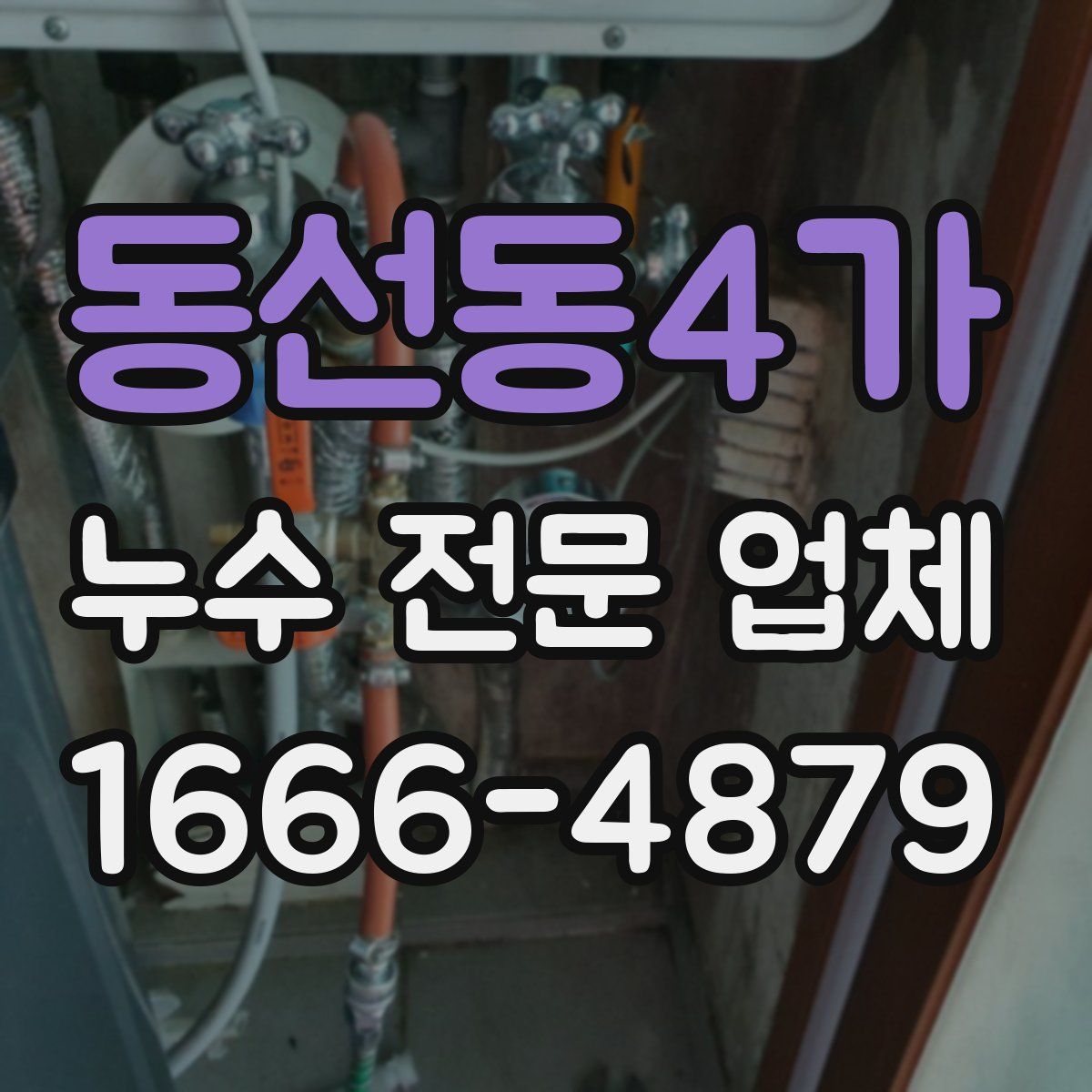 동선동4가 누수 전문 업체